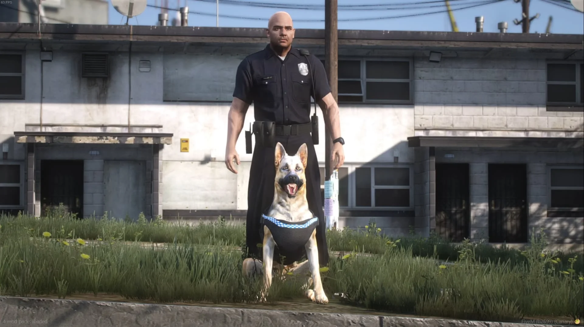 Rq-dogs K9 Script.webp