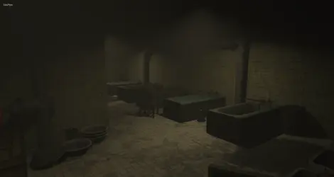 Brnx asylum island5.webp