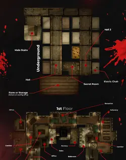 Brnx asylum island2.webp