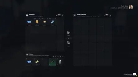 v4 esx inventory.webp