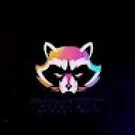 raccon