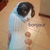 QQDee
