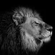 LetsTiger