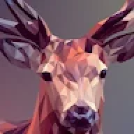 wftwfdwdwx