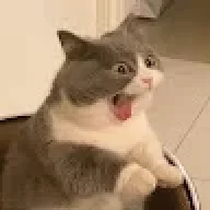 OuiOui