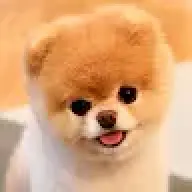 ggggggggg
