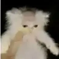 chrisi4409