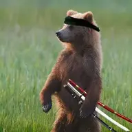 perriniale