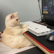 byte_dev