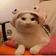 whdwdwd