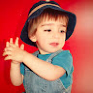 Kurd Count