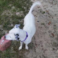 coda