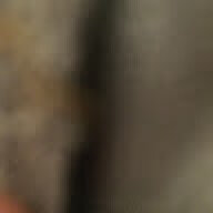 NouXi
