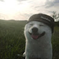 wadawdawdw