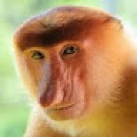 gewoonlucc