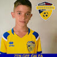 zengee0
