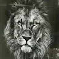 tom24