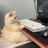 byte_dev