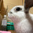 GINzzp