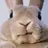 Mr Lapinou