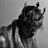 space16400