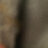 NouXi