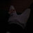 zERY