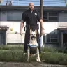 Rq-dogs K9 Script