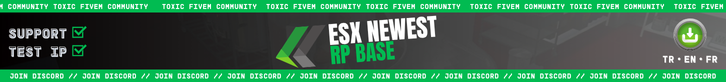 Banner 2