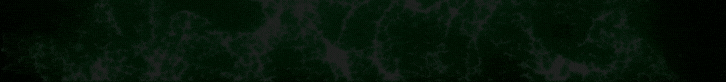Banner 2